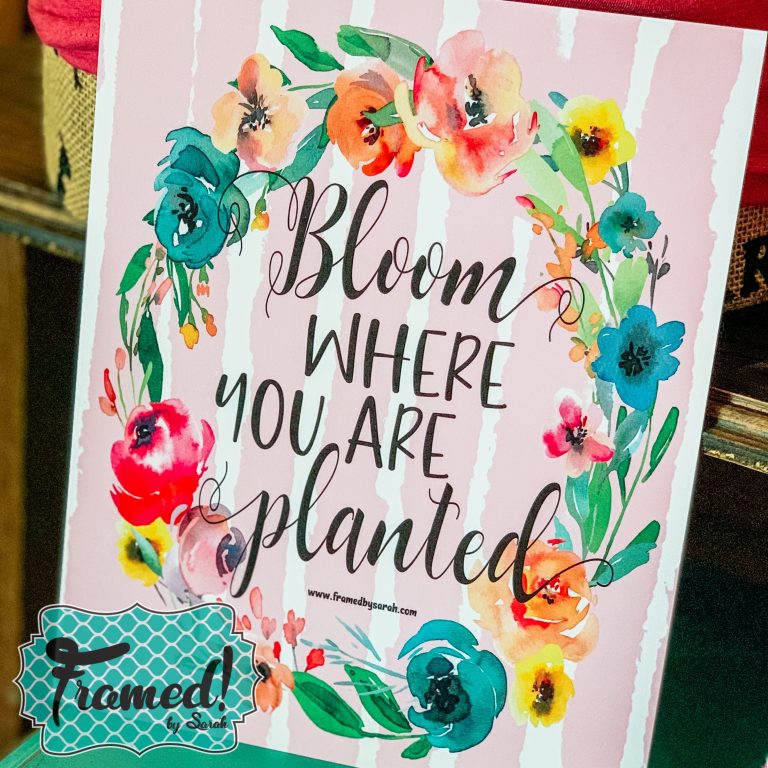 May Monogram Box Monthly Subscription Bloom where you are planted